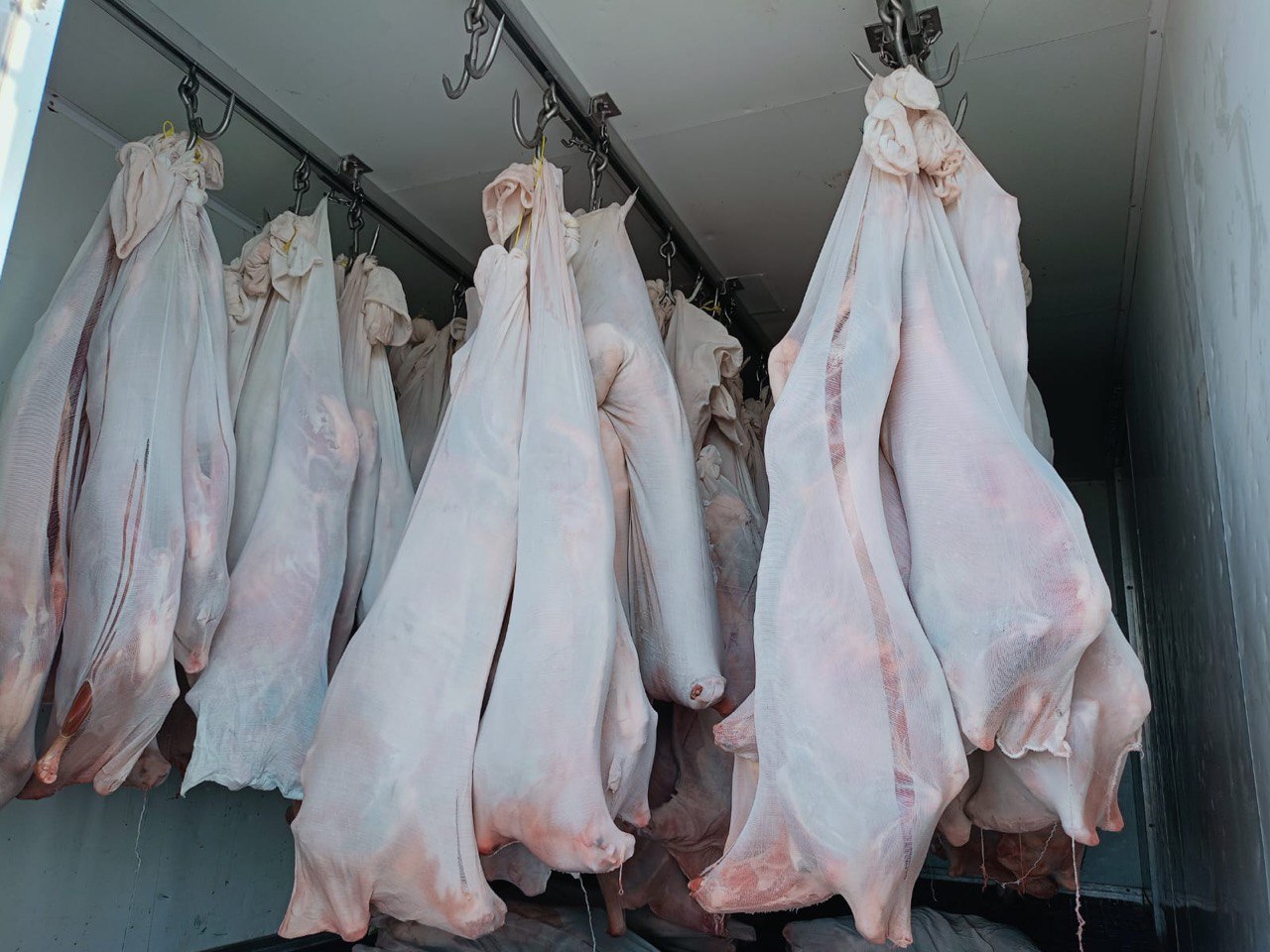 Frozen and chilled meat